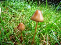 DSCN3674.JPG
