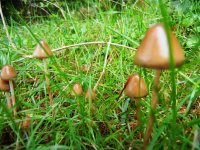 DSCN3675.JPG