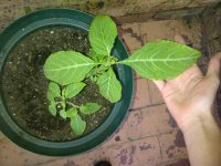 IMG-20131008-00241.jpg
