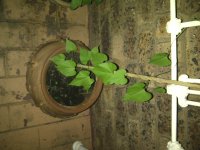 IMG-20131009-00277.jpg
