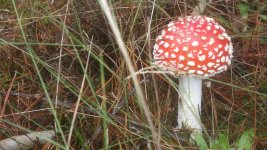 2013-10-12+165716.jpg