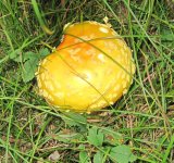 IMG_4791.JPG
