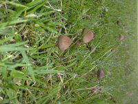 IMG-20131029-00318.jpg