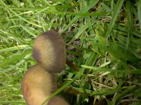 IMG-20131029-00330.jpg