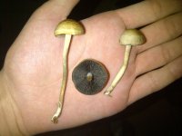 IMG-20131030-00356.jpg
