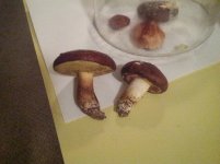 WP_20131103_001.jpg