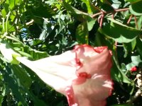 20131103_094350.jpg