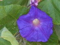 20131103_094309.jpg