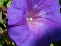 20131103_094324.jpg