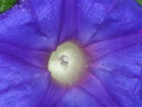 20131103_094305.jpg