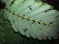20131026_073953.jpg