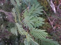 20131026_073936.jpg