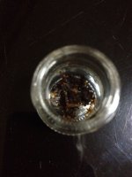 IMG_0706.jpg