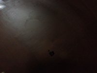 IMG_0699.jpg