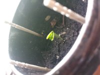 20131107_103946.jpg