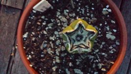 20131117_194750.jpg