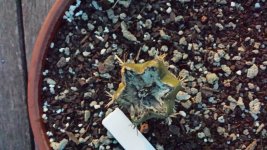 20131117_194756.jpg