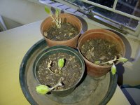 IMG-20131118-00404.jpg