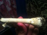 IMG_0707.JPG