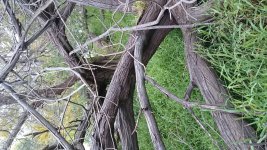 DSC_0407.JPG
