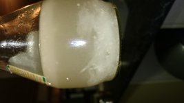 DSC_0467.JPG