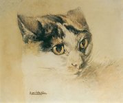 Wain_Cat_(realistic).jpg