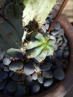 20131231_122942.jpg