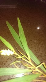 IMG_20140120_194417.jpg