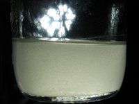 DSC08105.JPG