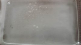 20140207_152455+-+Copy.jpg