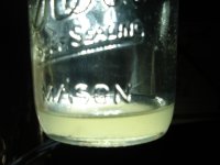DSC08118.JPG