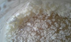 acrb+extract2.jpg