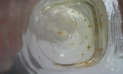 acrb+extract8.jpg