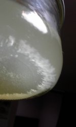 acrb+extract9.jpg