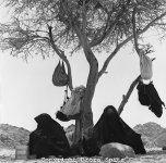 Bedouin+women+under+Acacia+tree.jpg