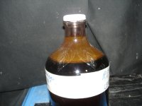 DSC08312.JPG