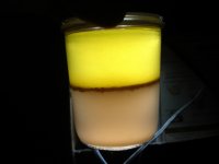 DSC08327.JPG