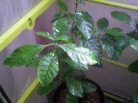 IMAG0099.JPG