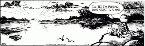 calvin+and+hobbes+missing+great+tv+shows.gif