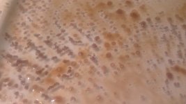 IMAG0267_BURST006.jpg