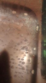 IMAG0273.jpg