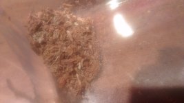 IMAG0275_BURST003.jpg