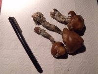 DSCF4607.JPG