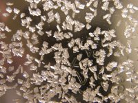 DSCF6954.JPG