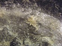 DSCF6964.JPG