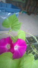 WP_20140502_002.jpg