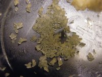 DSCF7118.JPG