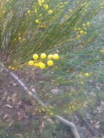 IMAG0564.jpg