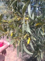 IMAG0610.jpg
