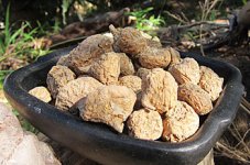 Maca.jpg